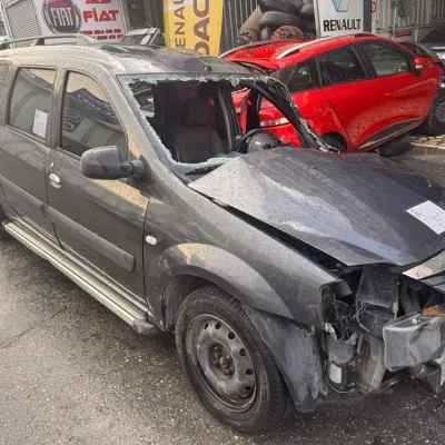 Dacia Logan Mcv Çıkma Sağ Ön Kapı